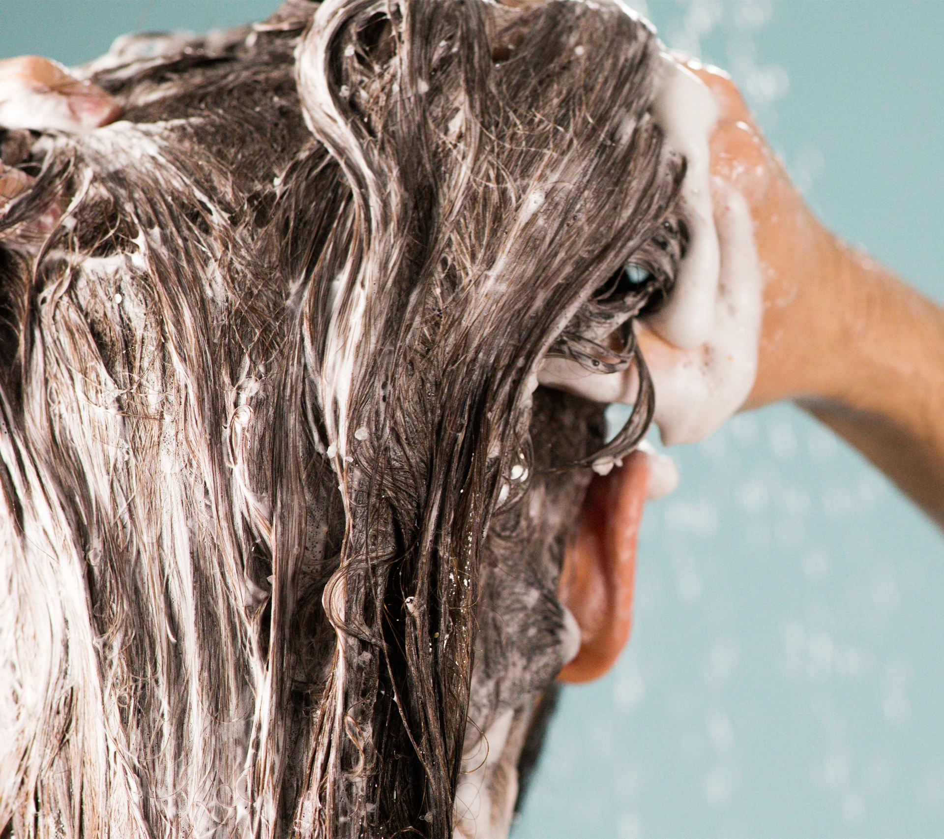 big_shampoo_hero_image_2019_7128aa47