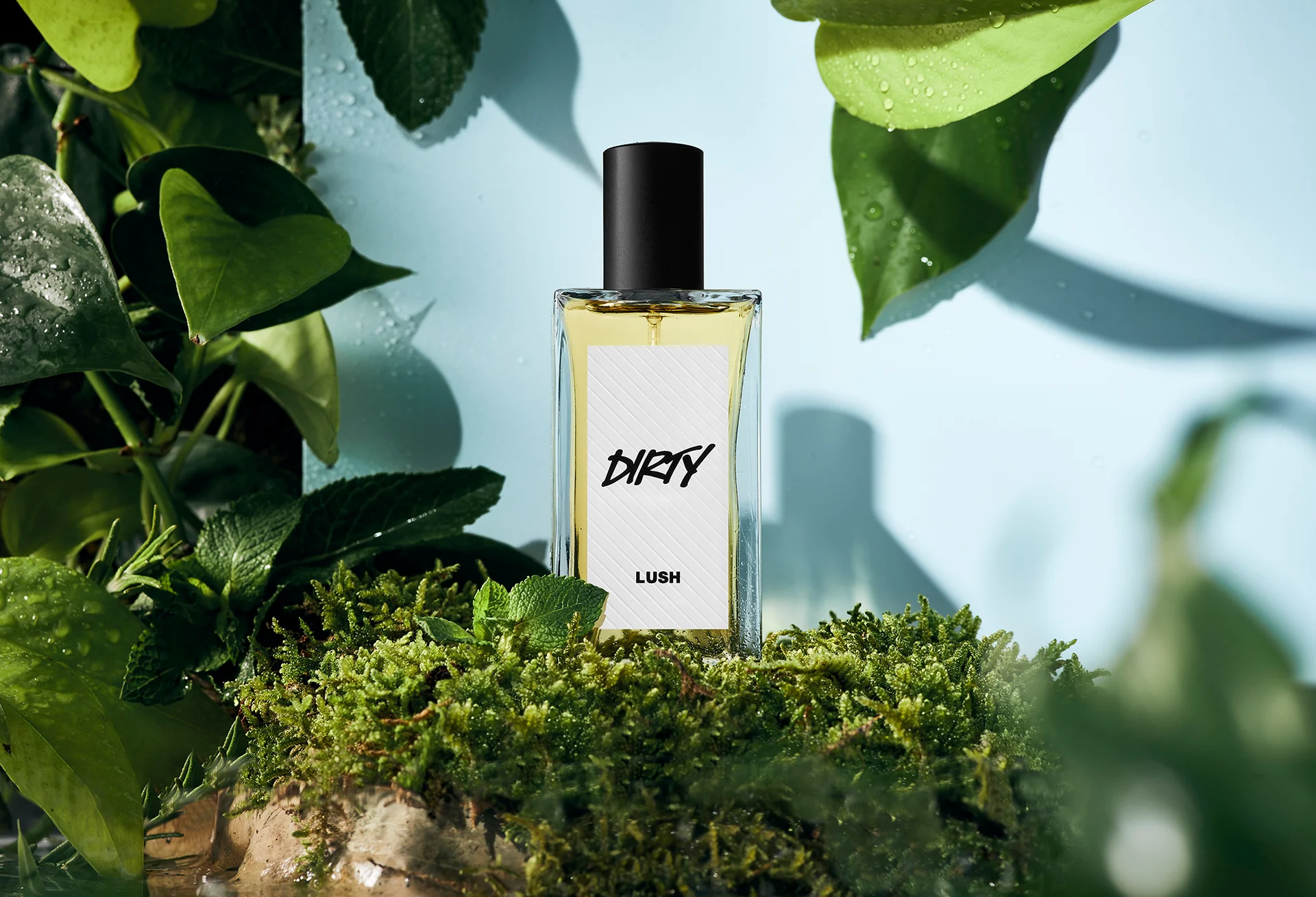 dirty_landscape_perfume_2022_29a4fec1.webp